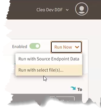 RunNow_WithSelectedFiles.png
